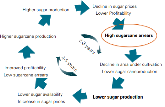 Sugar commodity cycle. Sugar commodity cycle.