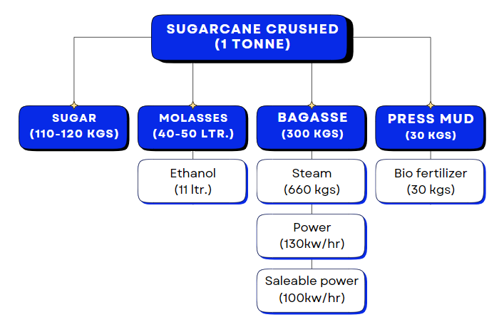 Different products made from sugarcane. Different products made from sugarcane.