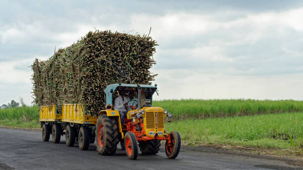 Tractor loaded with Sugar canes Village Sangli State Maharashtra India Tractor loaded with Sugar canes Village Sangli State Maharashtra India